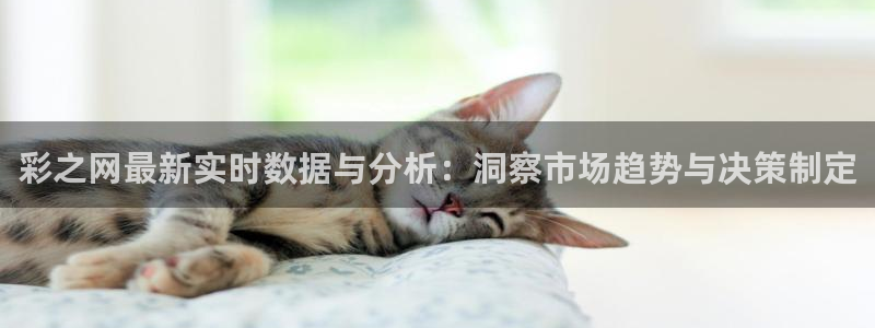 2元彩票平台：彩之网最新实时数据与分析：洞察市场趋势与决策制定