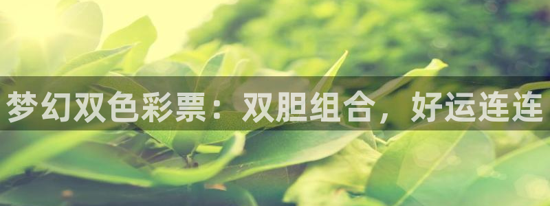2元彩票平台注册：梦幻双色彩票：双胆组合，好运连连