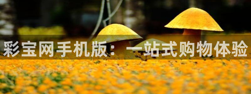 2元彩票体育网页版入口：彩宝网手机版：一站式购物体验