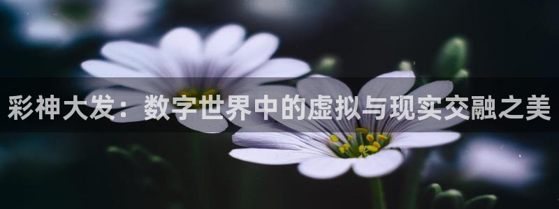 2元彩票2登录：彩神大发：数字世界中的虚拟与现实交融之美
