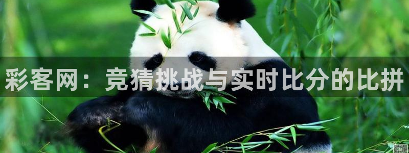 2元网河南二十二：彩客网：竞猜挑战与实时比分的比拼