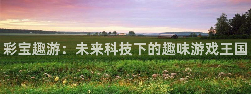 2元彩票5：彩宝趣游：未来科技下的趣味游戏王国