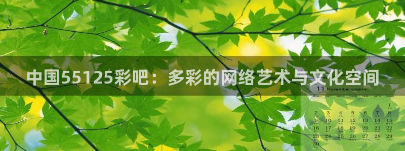 2元彩票2登录入口：中国55125彩吧：多彩的网络艺术与文化空间